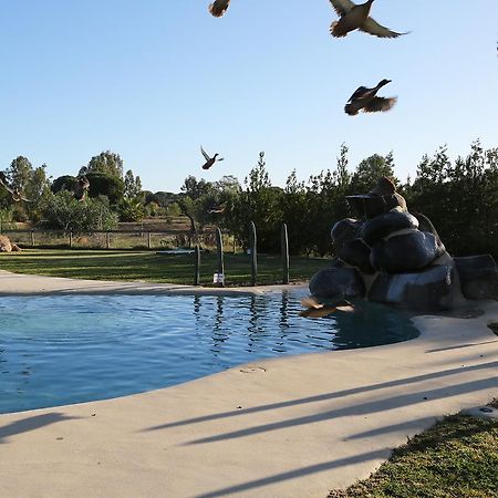 Hotel Ardea Purpurea Villamanrique De La Condesa Esterno foto