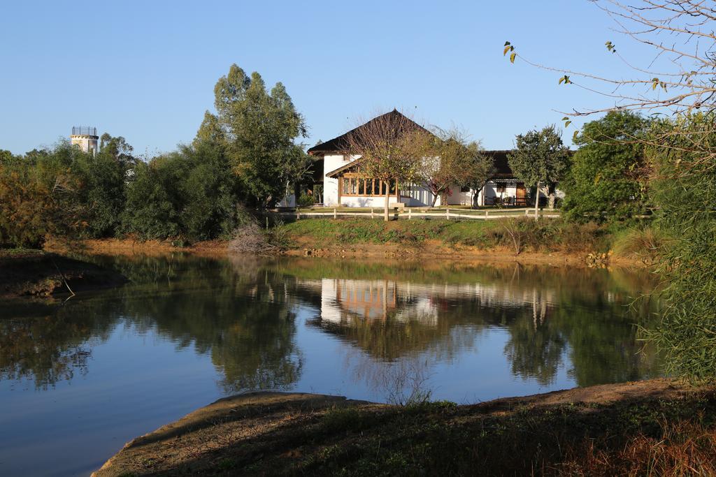 Hotel Ardea Purpurea Villamanrique De La Condesa Esterno foto