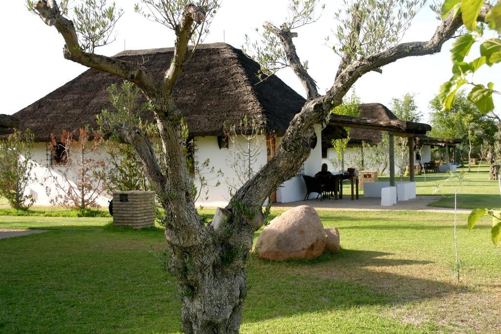 Hotel Ardea Purpurea Villamanrique De La Condesa Esterno foto
